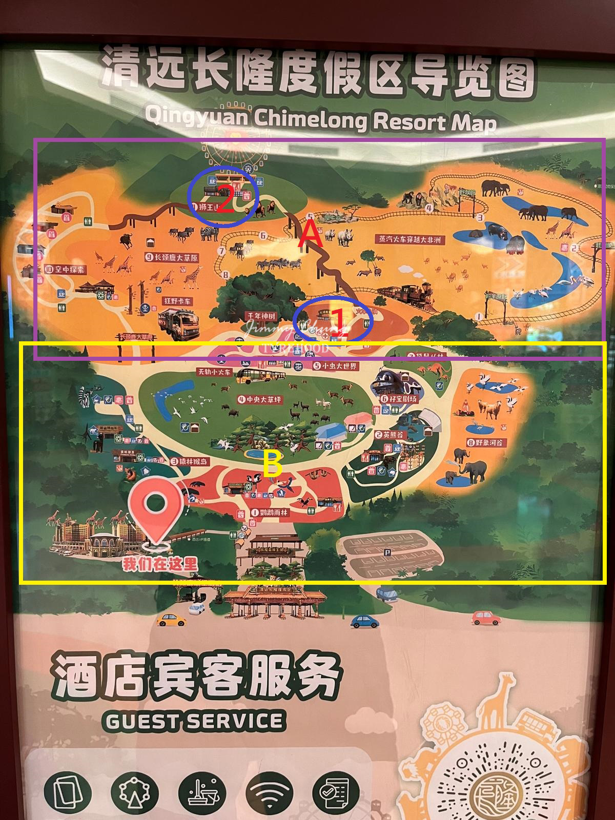 清遠長隆全攻略|門票、玩樂重點、交通教學一文看清