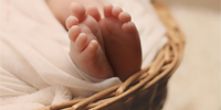 newborn insurance